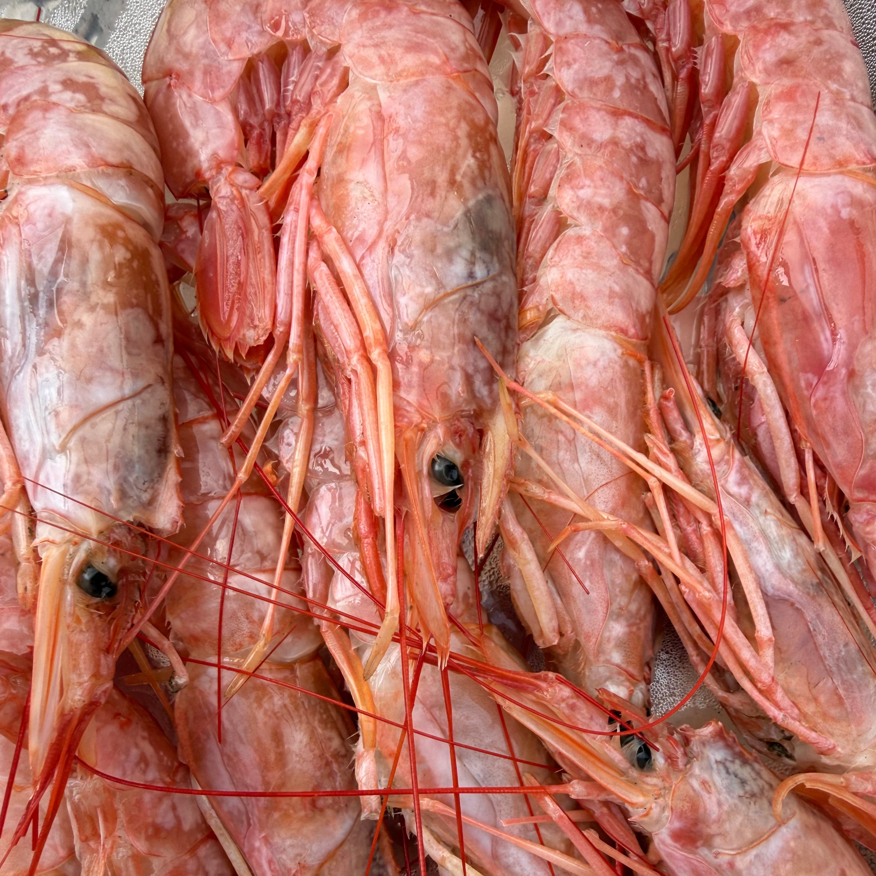 Argentininės krevetės, 10/20, 2kg