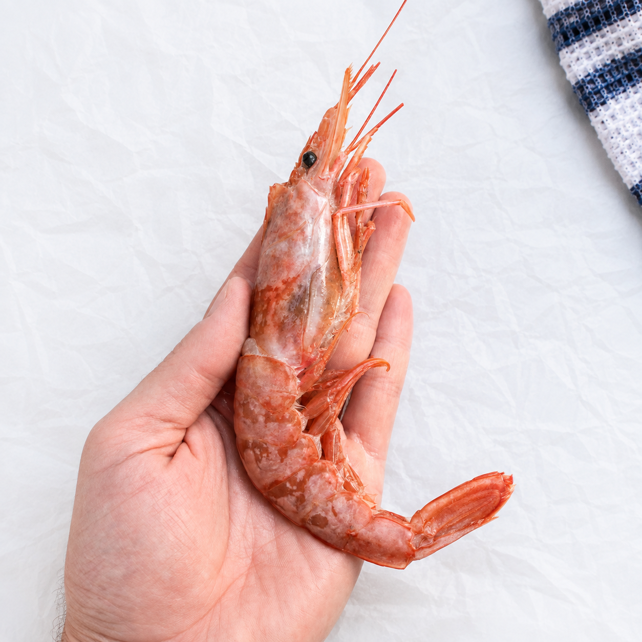 Argentininės krevetės, 10/20, 2kg