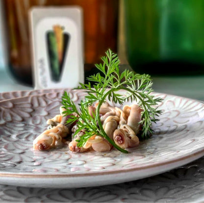 Peileniai "Razor-shells" sūryme